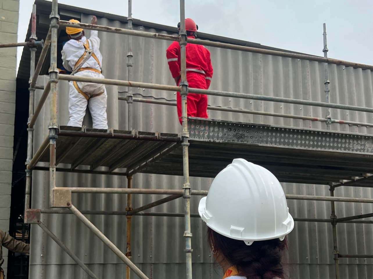 Manejo de Asbesto — Refinería El Palito